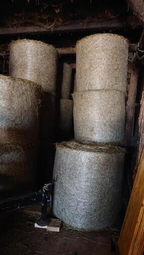 Heurundballen 1. Schnitt 2025 zu verkaufen, trocken gelagert, Top Qualitt, nicht verregnet, gut geeignet fr Pferde