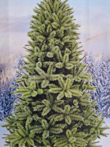 Weihnachtsbaum (Marke Triumph tree)