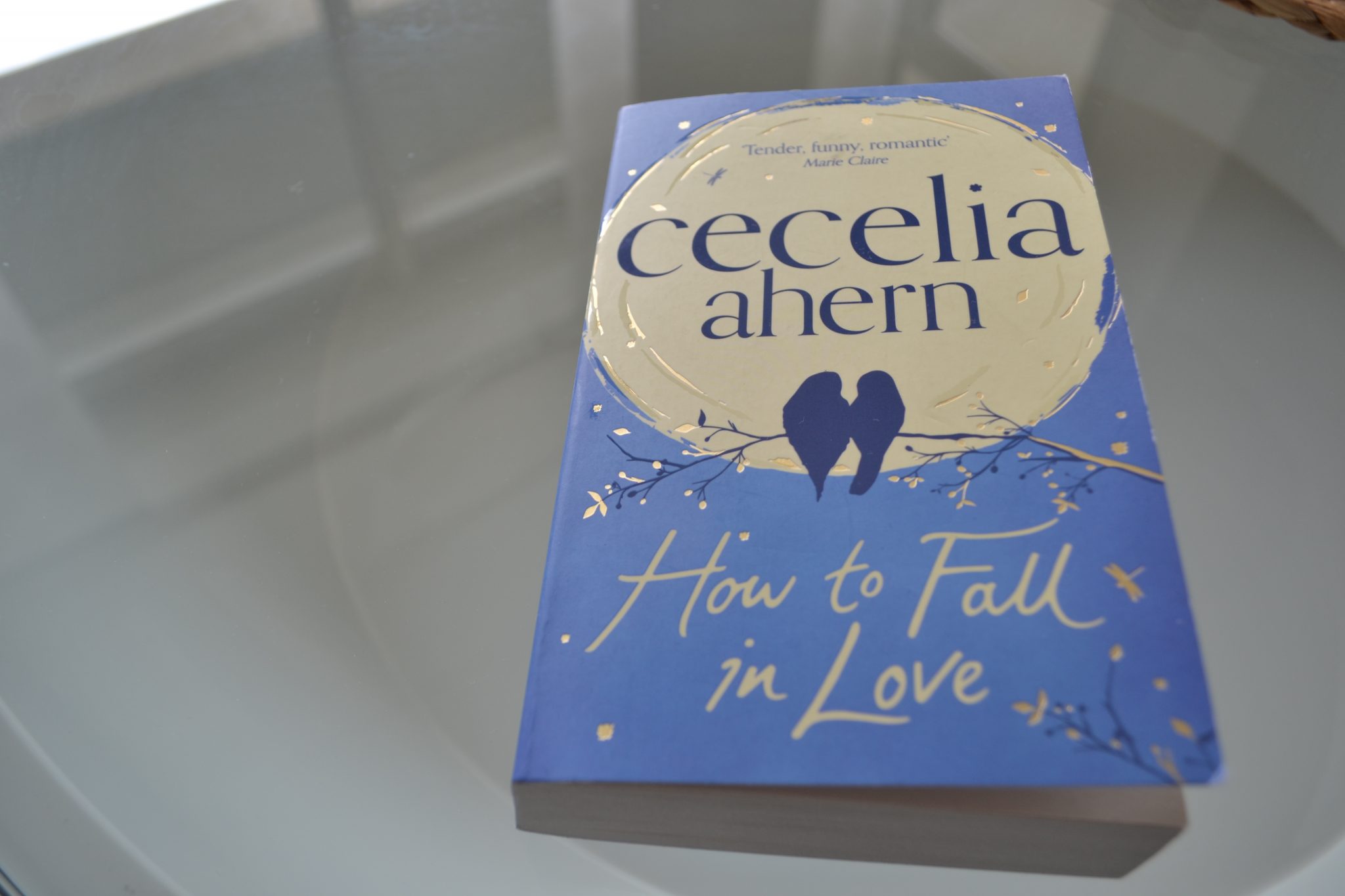 Books: How to Fall in Love | Cecelia Ahern