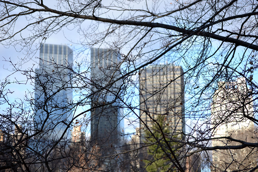 5 Lieblingsbilder | New York