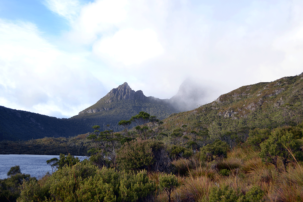 Travel Diary: Eine Woche in Tasmanien | Teil II - CradleMountain 3