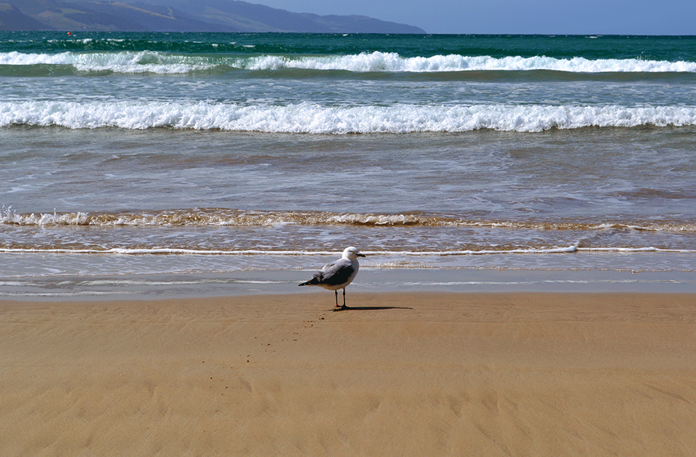 Travel Diary: Great Ocean Road | Australien - GreatOceanRoad 1