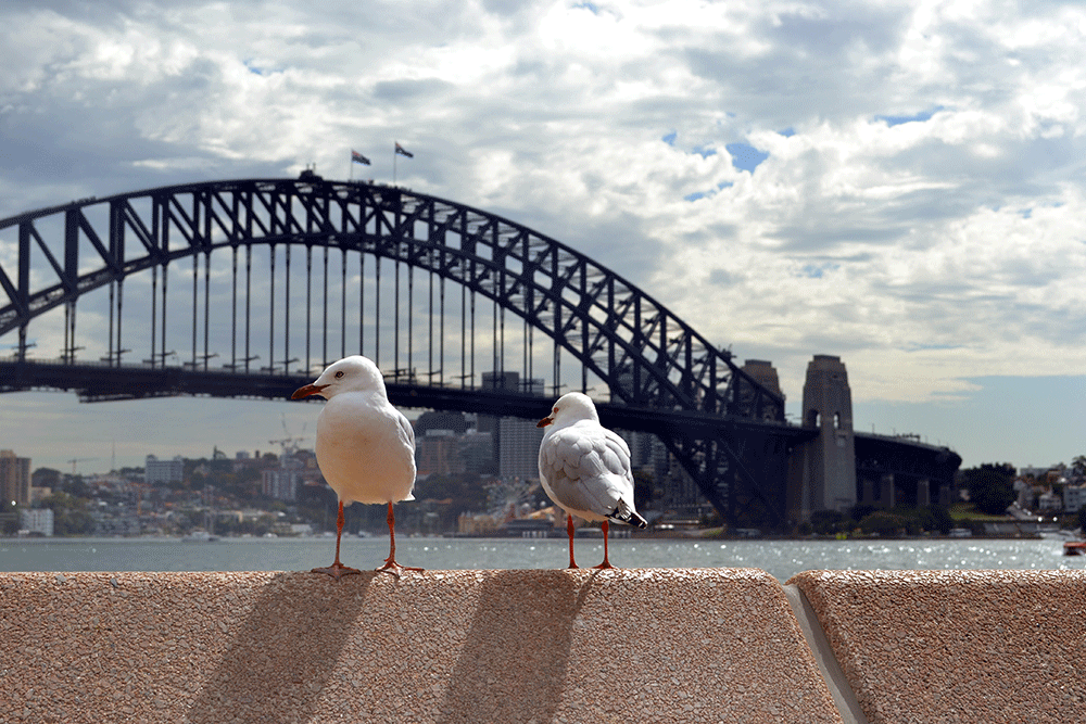 Travel Tip: 5 Tipps für Sydney | Australien