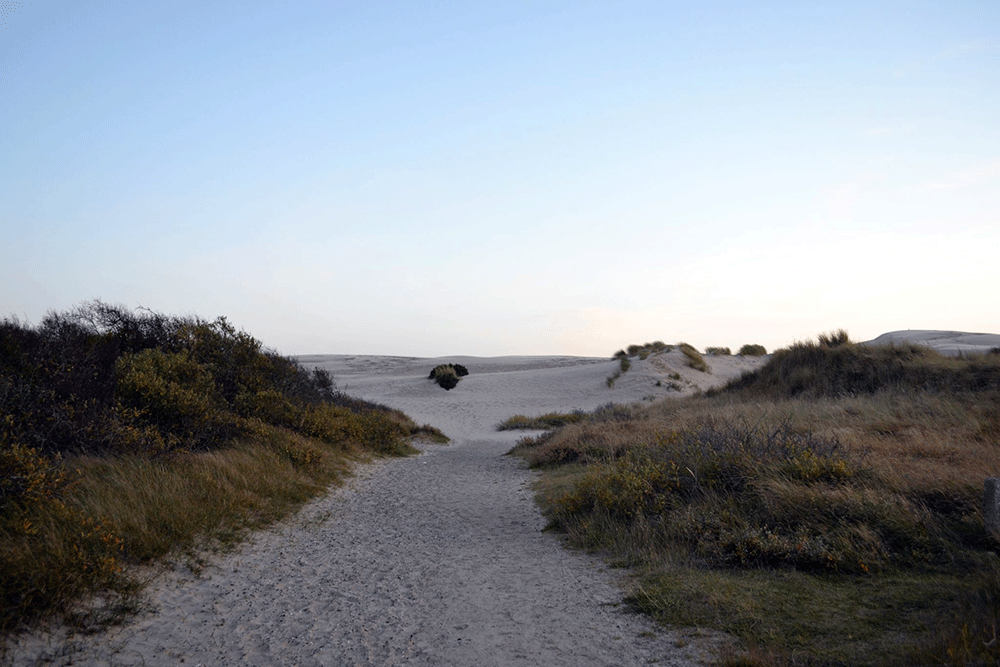 Travel Tip: Roadtrip Dänemark | 7 – 10 Tage