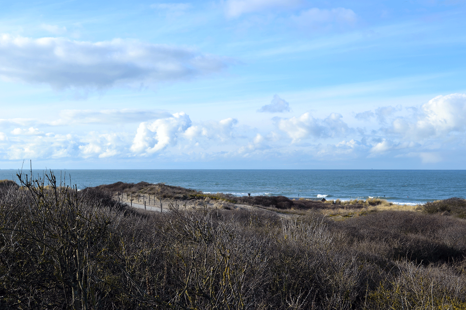 January2021 5 Things that Rocked my World in January 2021