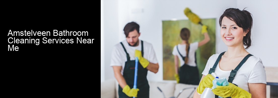Amstelveen Bathroom Cleaning Services Near Me