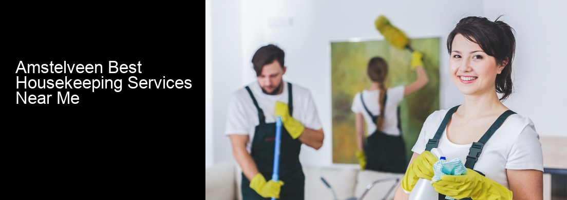 Amstelveen Best Housekeeping Services Near Me