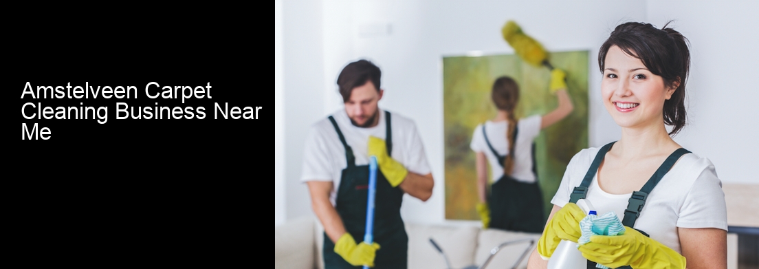 Amstelveen Carpet Cleaning Business Near Me