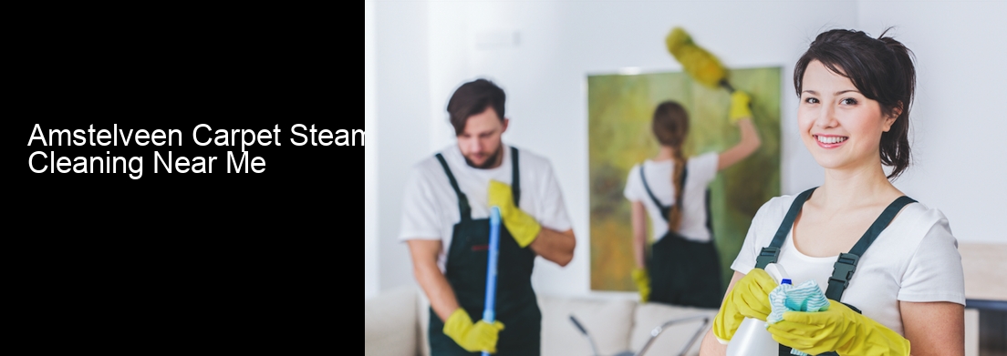 Amstelveen Carpet Steam Cleaning Near Me