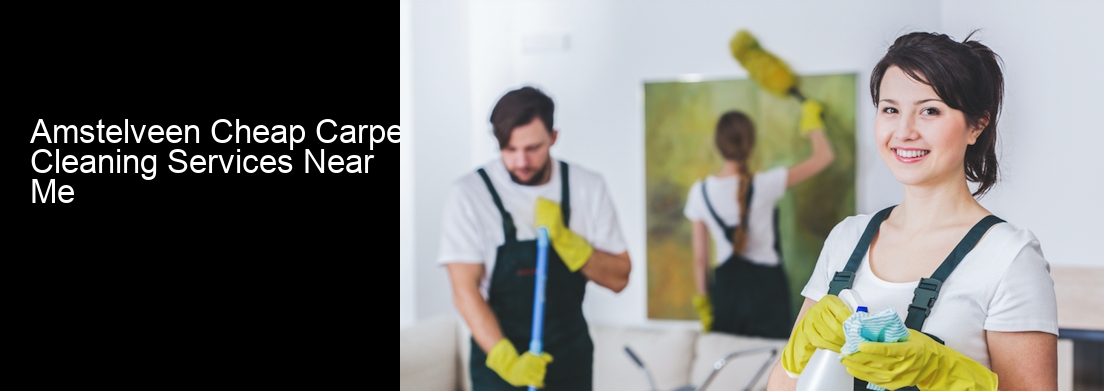 Amstelveen Cheap Carpet Cleaning Services Near Me