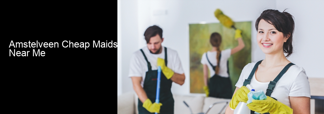 Amstelveen Cheap Maids Near Me