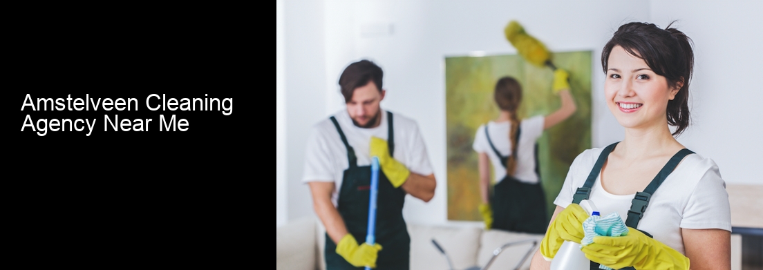 Amstelveen Cleaning Agency Near Me