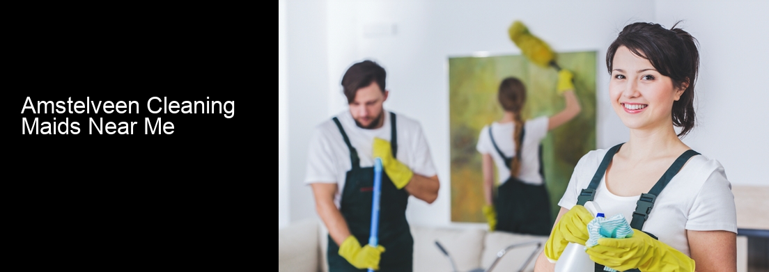 Amstelveen Cleaning Maids Near Me