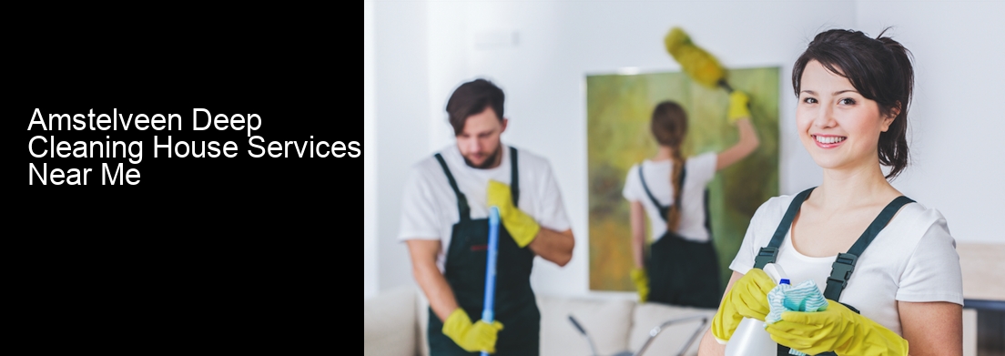 Amstelveen Deep Cleaning House Services Near Me