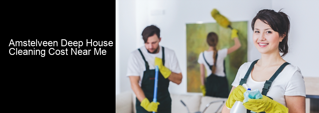 Amstelveen Deep House Cleaning Cost Near Me