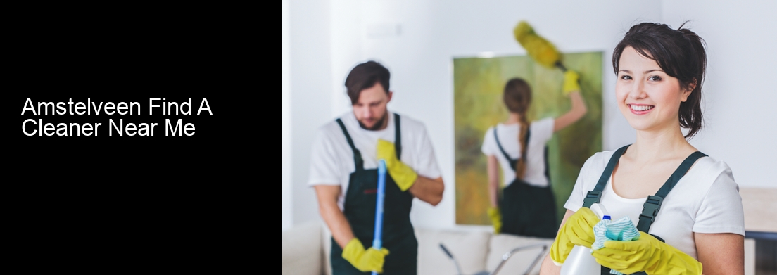 Amstelveen Find A Cleaner Near Me