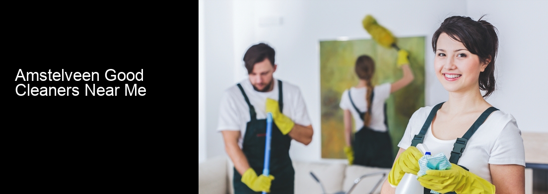 Amstelveen Good Cleaners Near Me