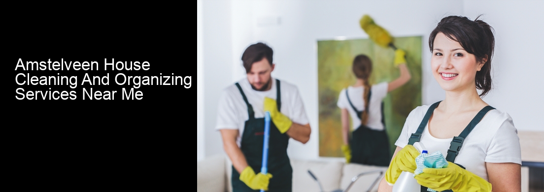 Amstelveen House Cleaning And Organizing Services Near Me