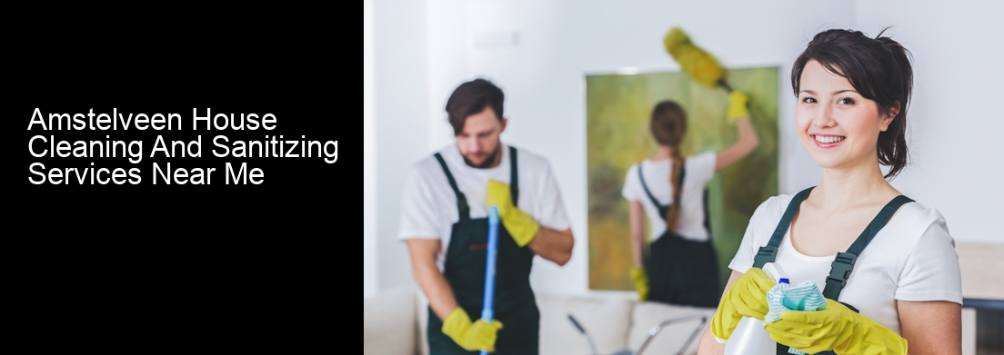 Amstelveen House Cleaning And Sanitizing Services Near Me