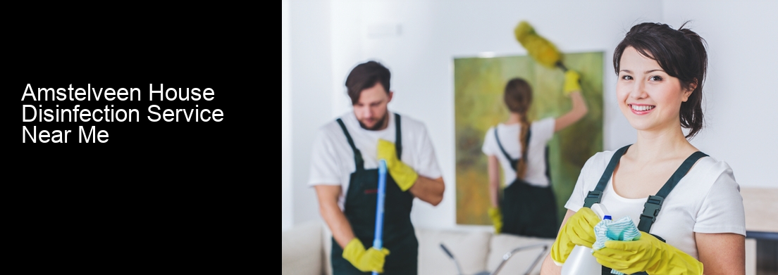 Amstelveen House Disinfection Service Near Me
