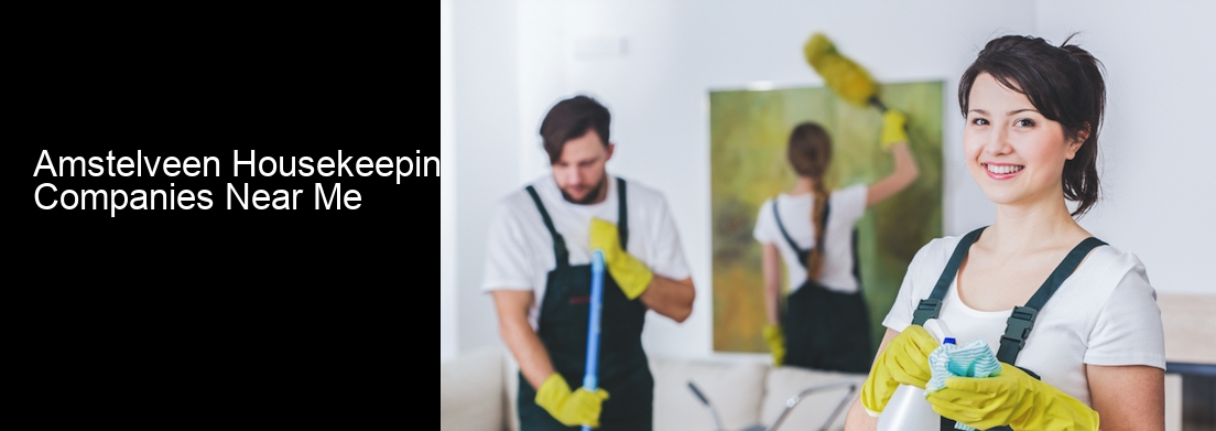Amstelveen Housekeeping Companies Near Me