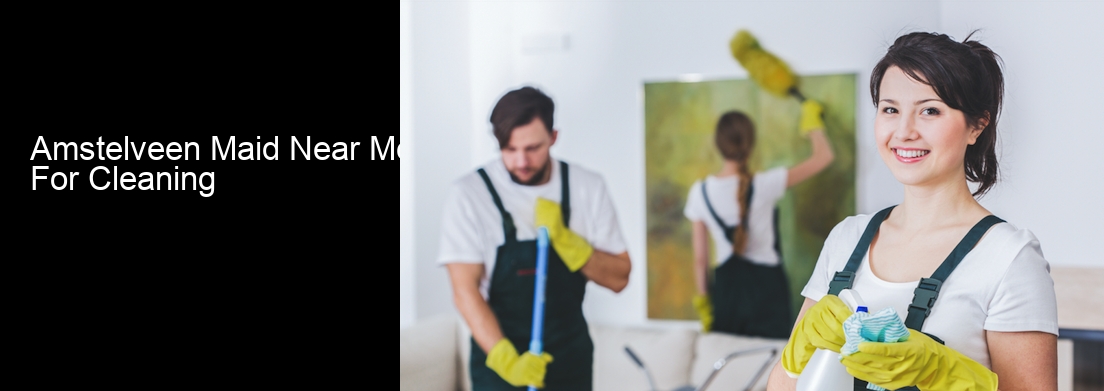 Amstelveen Maid Near Me For Cleaning
