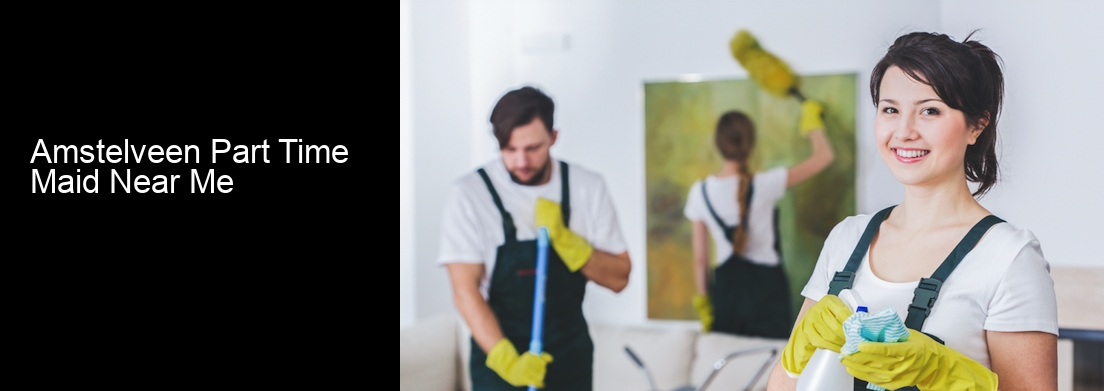 Amstelveen Part Time Maid Near Me