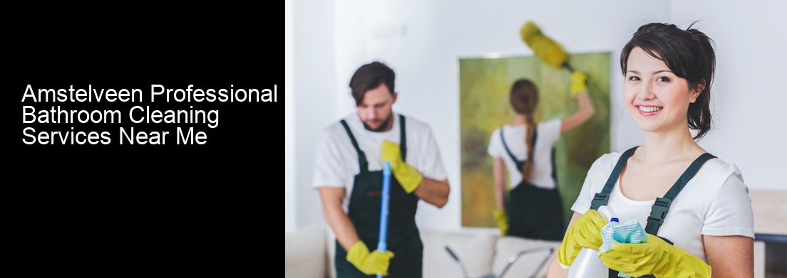 Amstelveen Professional Bathroom Cleaning Services Near Me