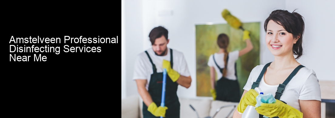 Amstelveen Professional Disinfecting Services Near Me