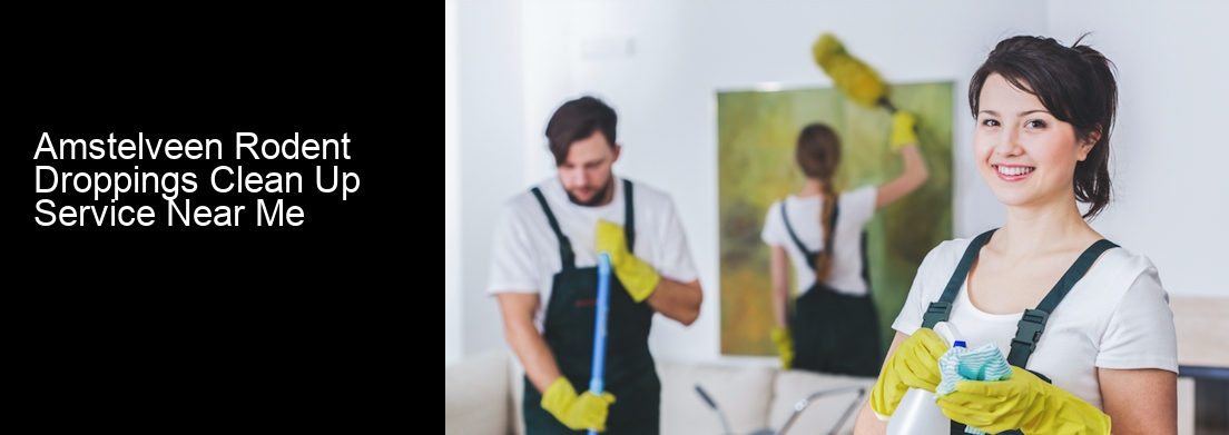 Amstelveen Rodent Droppings Clean Up Service Near Me