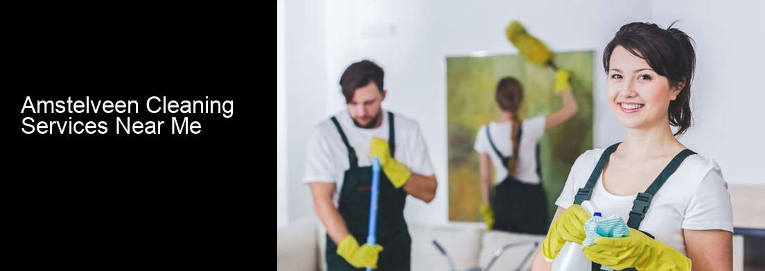 Amstelveen Cleaning Services Near Me