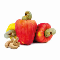 Cashew juice concentrate opens up new possibilities for making products more sustainable. (Images: Akoua)