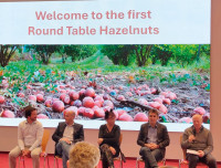 Moderator Dr. Daniel Kadow mit seinen Gesprächspartnern Hauke Will, Christa Schuster-Salas, Prof. Dr. Domenikus Kittemann und Johann Bergsteiner. (Bilder Dr. Isabell Rothkopf/Hauke Will)