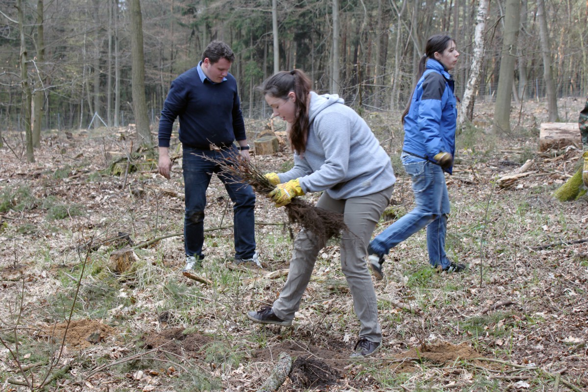 Gründer und Minderheitseigner Michael Bruck (li.) unterstützt mit seinen Mitarbeitern eine Baumpflanzaktion in Brandenburg Gründer und Minderheitseigner Michael Bruck (li.) unterstützt mit seinen Mitarbeitern eine Baumpflanzaktion in Brandenburg