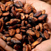 Foto: European Cocoa Association