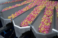 Auf der Grundlage jahrelanger Erfahrung hat Multipond seine bewährte DSE-Technologie zum neuen DDSEQ -System weiterentwickelt. (Bild: Multipond Wägetechnik GmbH)