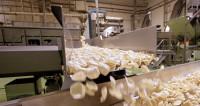 The deployment of multiple TNA on-machine seasoning systems (OMS) delivered seamless changeovers and easy operation across multiple products simultaneously. (Image: TNA Solutions)