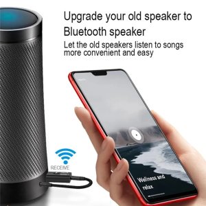 2 in 1 USB Wireless Bluetooth Adapter 5.0 for Speaker,TV,Car