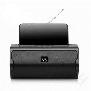 v6 speaker
