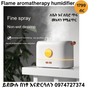 Flame aromatherapy l Humidifier