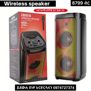 Wireless  speaker with microphones