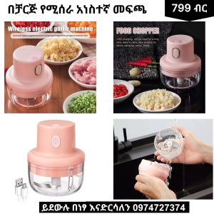 Rechargeable Mini Electric Garlic Machine