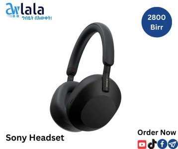 Sony Headset