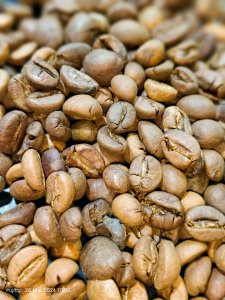 EKO-120K Coffee Roasting Machine