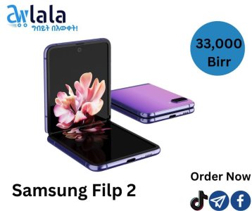 Samsung Flip 2