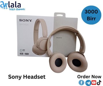 Sony Headset