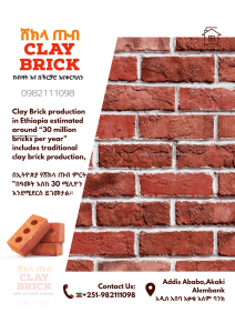 Brick ሸክላ ጡብ