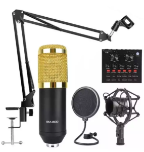 Bm800 microphone