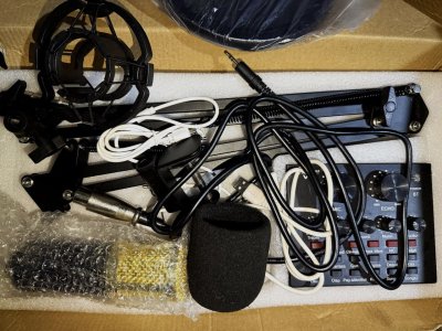 Bm800 microphone