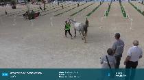 Miniature vidéo